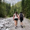 Amus Chalets